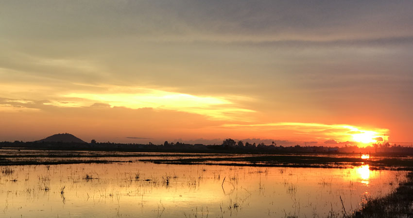 Sunset on the rice field